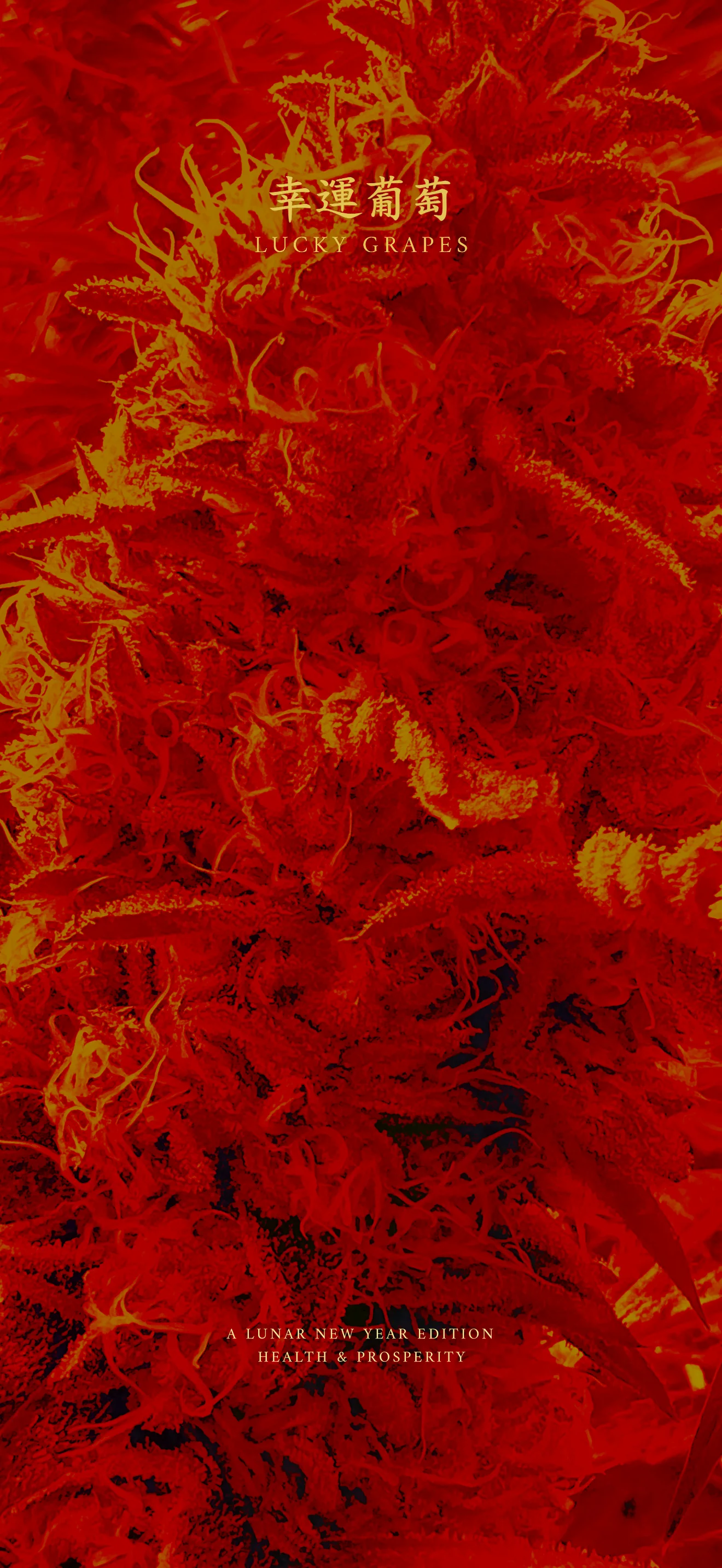 What Breeders Owe the Future